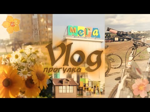 Видео: Vlog – 🌼 ПРОГУЛКА С ДРУЗЬЯМИ 🌸