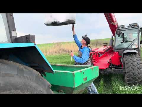 Видео: Підживлення озимої пшениці 