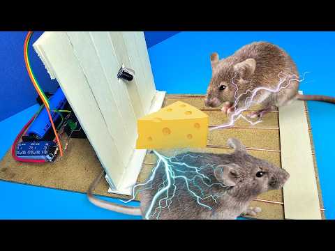 Видео: НОВАЯ электрическая ловушка для мышей/Лучшая электрическая ловушка для мышей