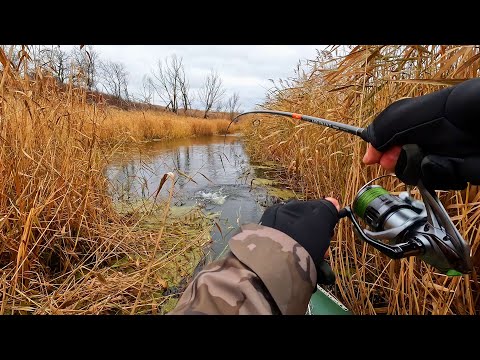 Видео: ЩУКА В ОКТЯБРЕ. Ловля щуки на спиннинг на малой реке.