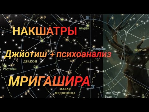 Видео: МРИГАШИРА накшатра # Джйотиш #накшатры #школаастрологии