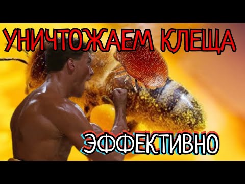Видео: ВАРРОАТОЗ НЕ ПРОБЛЕМА, УНИЧТОЖАЕМ КЛЕЩА, ИСПАРИТЕЛЬ ДЮКАРЕВЫХ рулит.