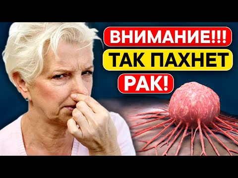 Видео: ВАЖНО! Вот ТРИ запаха РАКА ТОЛСТОЙ КИШКИ. 90% людей с раком даже НЕ ДОГАДЫВАЮТСЯ об этом