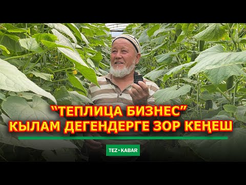 Видео: Адыл авабыздан МОШНЫЙ бизнес кеңеш  |  Мындай кеңешти эч ким бере элек