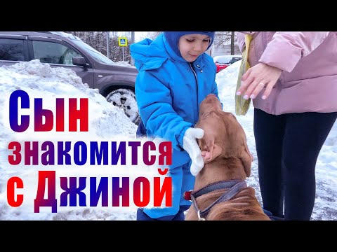 Видео: Я не хочу, чтоб ты нас снимал!