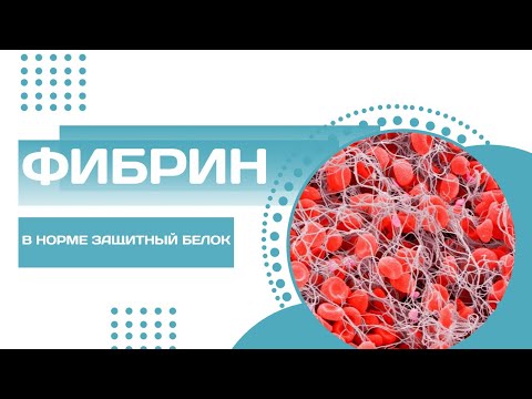Видео: Фибрин - защитный белок | Последствия от избытка этого белка