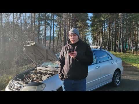Видео: Обзор - Toyota Corolla 120