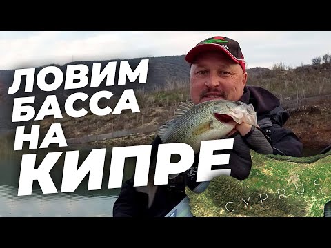 Видео: Ловим басса на Кипре +РОЗЫГРЫШ