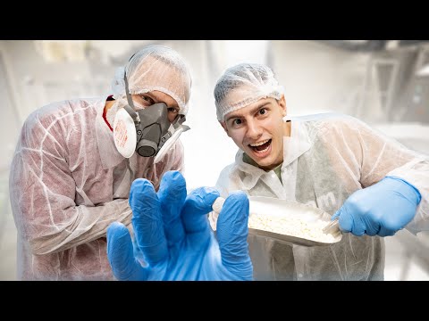 Видео: Истината за производството на нашите добавки!