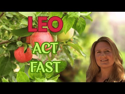 Видео: ЛЕВ ♌️ СООБЩЕНИЕ, ПРЕДНАЗНАЧЕННОЕ ДЛЯ ТЕБЯ! НЕ ПРОПУСТИ ЭТОГО!