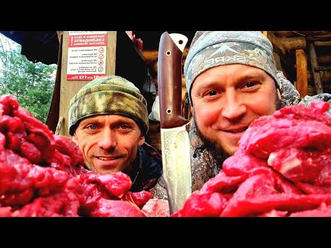 Видео: НАМ КРУТО ПОВЕЗЛО! УДАЧА БЫЛА С НАМИ? ОХОТА НА ЛОСЯ 2 серия