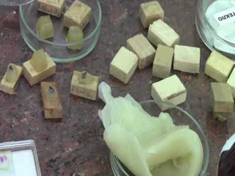 Видео: Техника приготовления постоянного препарата для светового микроскопа