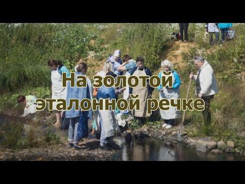 Видео: На золотой эталонной речке
