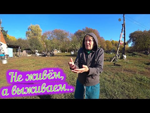 Видео: Деревня Глотово / Жизнь в деревне / Заброшенные деревни Орловская область