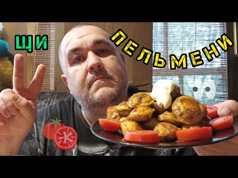 Видео: Обжор - щи с пельменями и немного майонеза