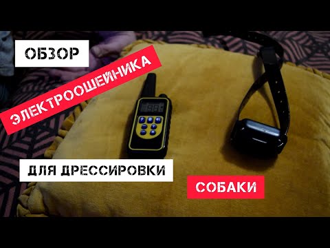 Видео: Электронный ошейник для дрессировки собак -  Pet DTC-800. Как работает электронный ошейник