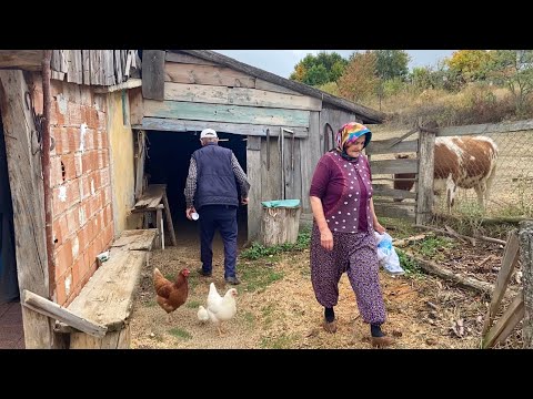 Видео: Повседневная жизнь деревни в горах. Документальный фильм.