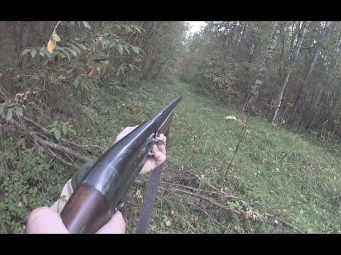 Видео: Охота на рябчика 2025