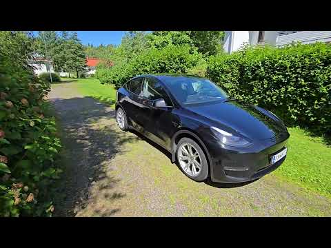 Видео: TESLA MODEL Y  в сравнении с TESLA MODEL X, после 3 месяцев эксплуатации