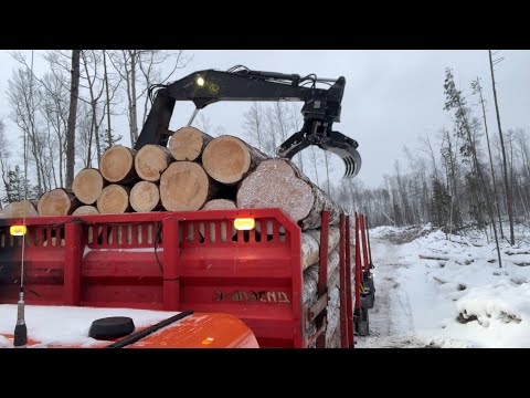 Видео: Немного о лесных пожарах. Что страшнее пожар или пила??
