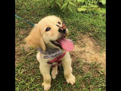 Видео: Дима Билан - Болен тобой (speed up)