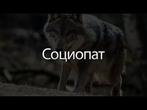 Видео: Социопат