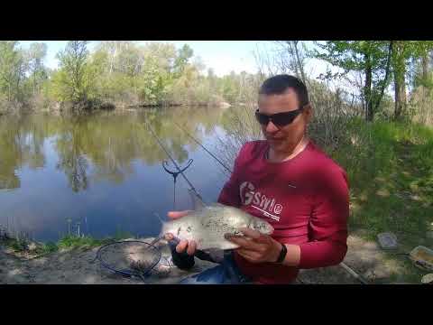 Видео: Рыбалка на реке Псёл. Никогда не мог подумать,что эта простая оснастка так работает на течении#2022