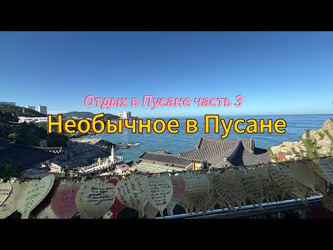 Видео: ЕДЕМ В ПУСАН УЖЕ В ТРЕТИЙ РАЗ! Где купались, куда сходить в Пусане?