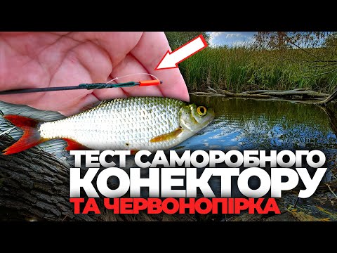 Видео: РИБАЛКА на ЧЕРВОНОПІРКУ та ТЕСТ САМОРОБНОГО КОНЕКТОРУ на МАХОВУ ВУДКУ. РЕКОМЕНДУЮ!