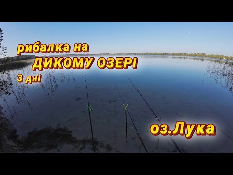 Видео: Моя перша вилазка на літню рибалку у вересні. 3 дні риболовлі на о.Лука