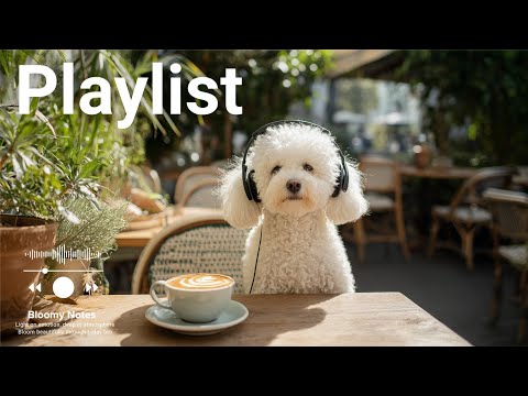 Видео: [Playlist] Хмурый день? Нажми play и перезапусти настроение 🎧 Поп-плейлист для работы