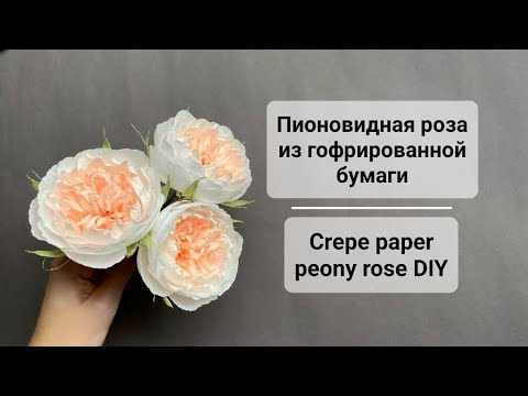 Видео: Пионовидная роза из гофрированной бумаги | Crepe paper Peony rose DIY Kosmach Flowers