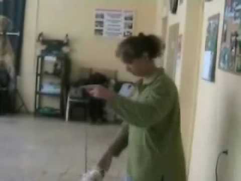 Видео: Движения собаки "L", "Т", треугольник.