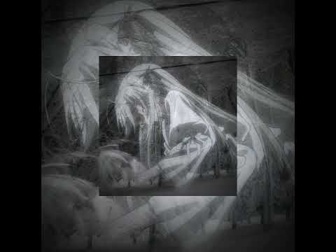 Видео: Тысячи птиц - speed up