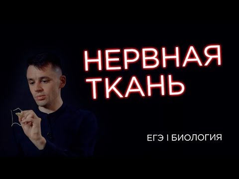 Видео: Нервная ткань I ЕГЭ Биология | Даниил Дарвин