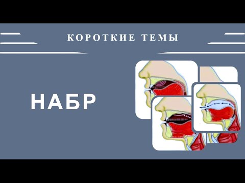 Видео: Айман Сувейд. 4. Короткие темы: НАБР (русские субтитры)
