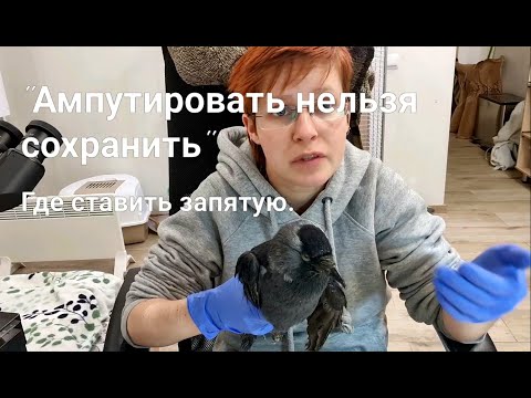 Видео: Ампутировать нельзя сохранить. Где ставить запятую? Когда показана ампутация на примере клин.случаев