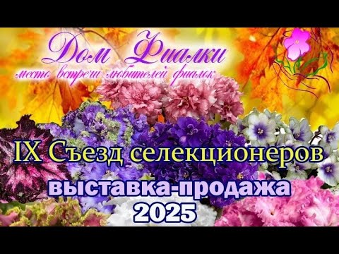 Видео: IX Съезд селекционеров. Обзор выставки-ярмарки в Доме Фиалки (Москва) 10-12 сентября 2025