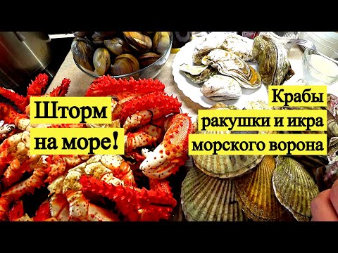 Видео: Шторм на море! Крабы, ракушки и икра морского ворона // Storm on the sea! (Eng Subs)