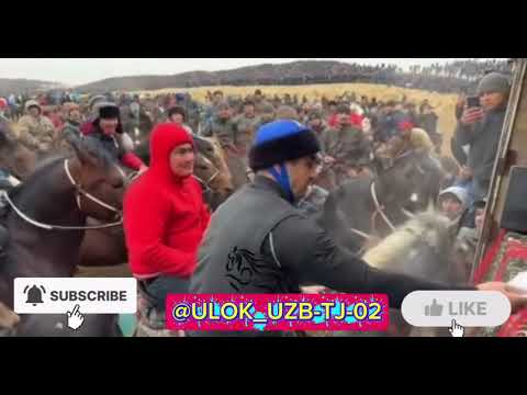 Видео: 6 ноября 2025 г.