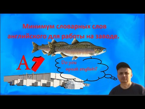 Видео: Работа на Аляске. Минимум английских слов для  работы на заводе по рыбопереработке.