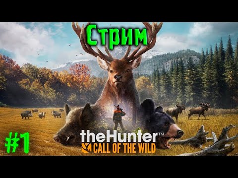 Видео: theHunter Call of the Wild #1 | Первый взгляд на игру theHunter Call of the Wild