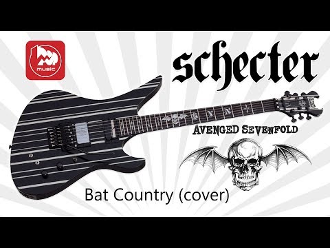 Видео: Электрогитара SCHECTER SYNYSTER CUSTOM-S BLK/SILV