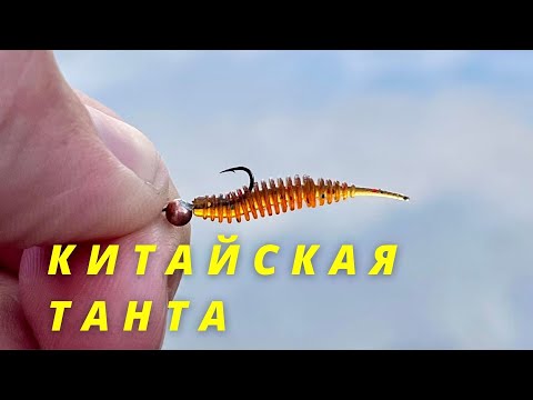 Видео: Мормышинг на китайскую танту