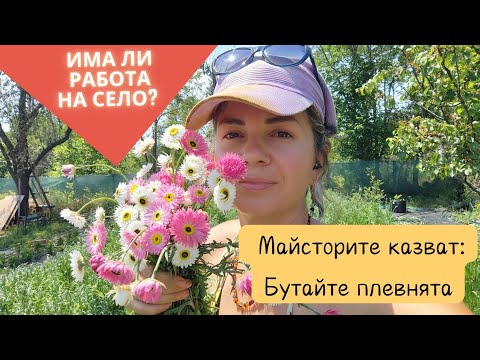 Видео: Търсим съвет за старата ни плевня и още за новото приключение с цветята. Градината в повдигнати лехи