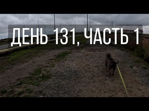 Видео: День 131, часть 1