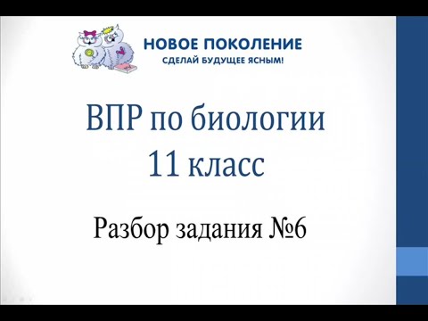 Видео: Биология. Разбор 6-го задания ВПР по биологии 11 класс