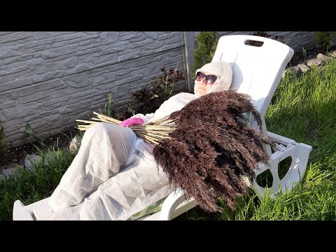 Видео: Цветной тростник покраска тростника как покрасить пампасную траву окрашивание сухоцветов