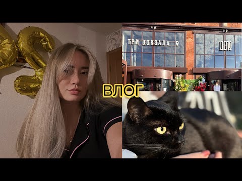 Видео: ВЛОГ || Гуляю с котом 🐈‍⬛ || Распаковка Gold Apple 🍏