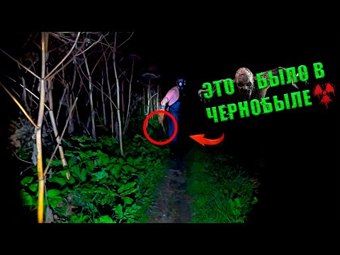 Видео: Сталкеры в Чернобыле / Псих с топором напал на нас